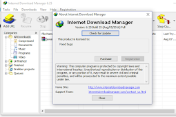 Download IDM 6.25 Build 25 Silent Install