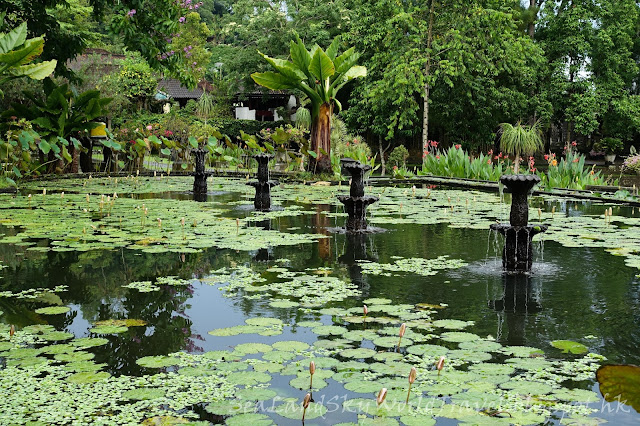 峇里, bali, tirta gangga temple