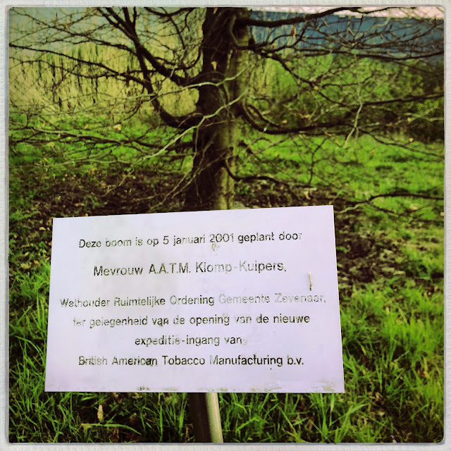 Bordje bij boom, geplant door A.A.T. Klomp-Kuipers