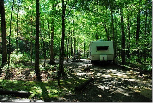 Cades Cove_C021