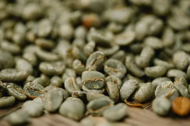 The body of a coffee refers to its weight or consistency in the mouth. A good coffee bean will have a full and smooth body that isn't too heavy or too light. The body of a coffee bean is told by its origin, repast position, and processing system. A good coffee bean will have a balanced body that complements its flavor profile and acidity.