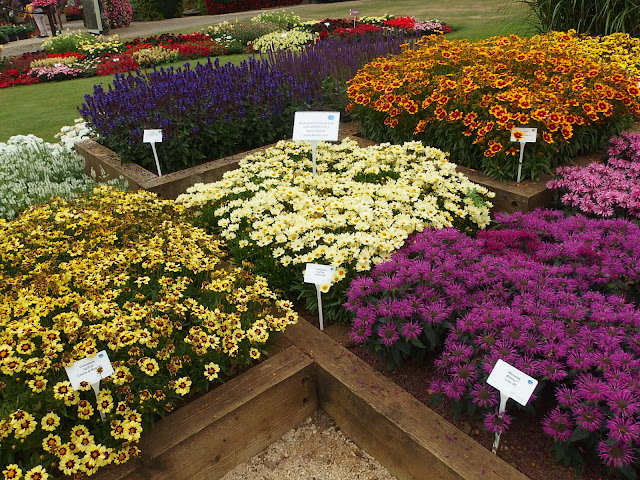 Even on a dull, coolish day these flower beds were alive with bees