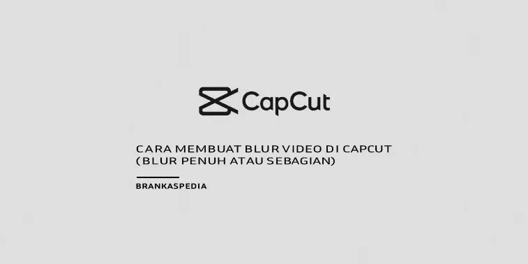 Cara Membuat Blur Video di CapCut ( Blur Penuh atau Sebagian)