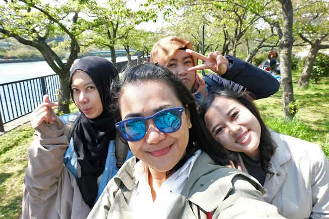 7 Tempat Wisata yang Dikunjungi untuk Melihat Sakura di Jepang