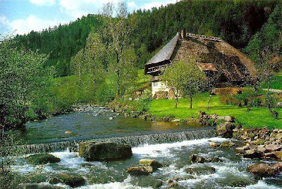 Dreamy Vacation in Black Forest Germany