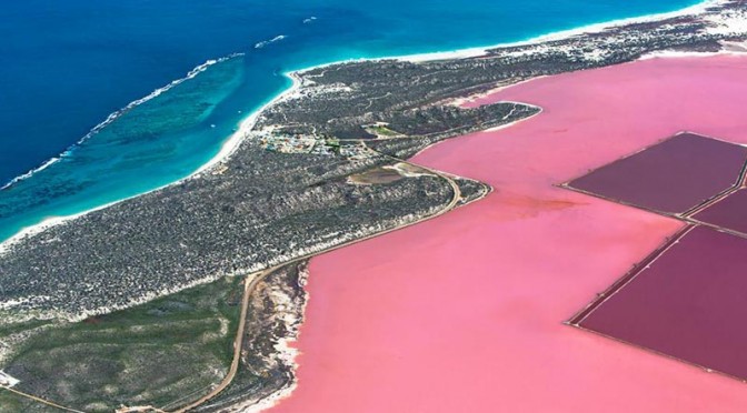 Masazirgol, Danau Sumber Rezeki Warga Azerbaijan 