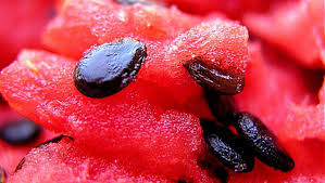 Do Not Throw Away Watermelon Seeds – They Are Incredibly Healthy!