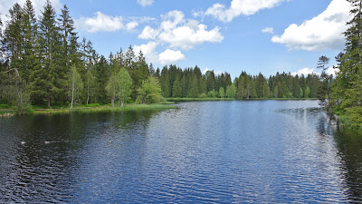 Etang de la Gruère