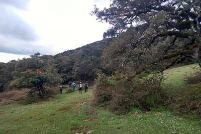 Cabecera del barranco