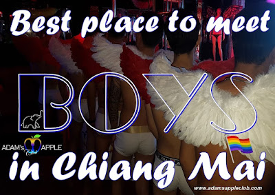 Best place to meet BOYS in Chiang Mai Bar Gay Adams Apple Club