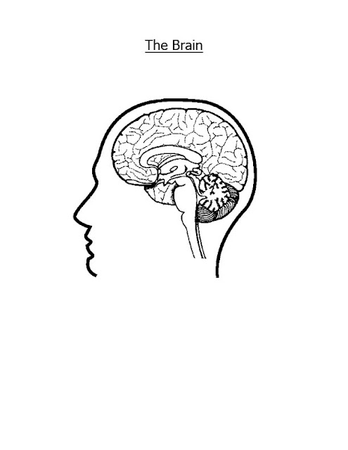 Brain Coloring Pages2