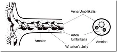 clip_image010
