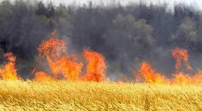 Incendie : dix hectares de terres agricoles partis en fumée 