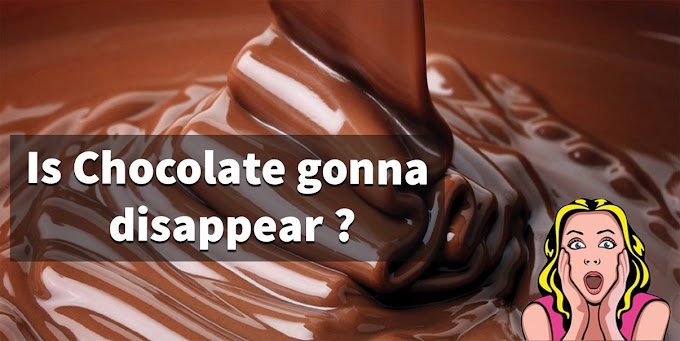 Chocolate will disappear by 2040 !
