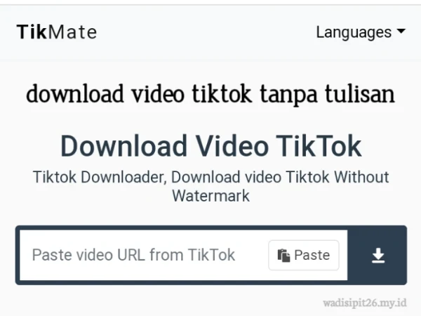 Tikmate.online review download video tiktok tanpa watermark