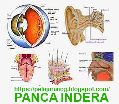 https://pelajarancg.blogspot.com/