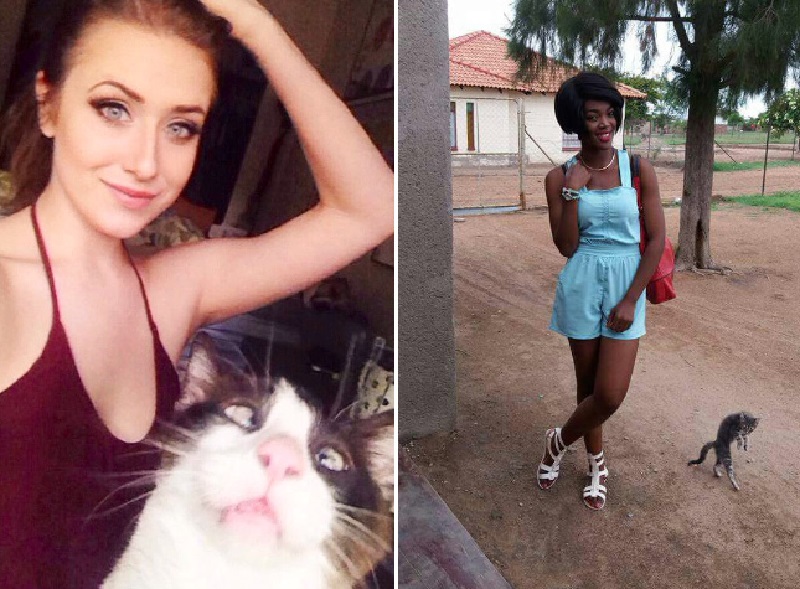 Cats Hilariously Photobombing Purrfect Funny Shots