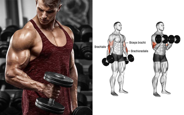 6 Best Biceps Exercises for Muscular Arms