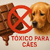 10 Alimentos Comuns que São Perigosos para Cachorros: Cuidados Essenciais para a Saúde do seu Pet