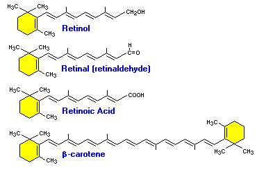 Hasil gambar untuk structure of retinol, retinal, asam retinoat, dan beta-karoten