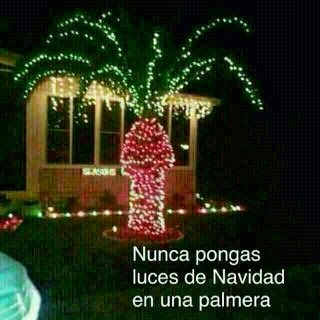 Imágenes bellas Este sitio es la caña - imagenes bellas de navidad