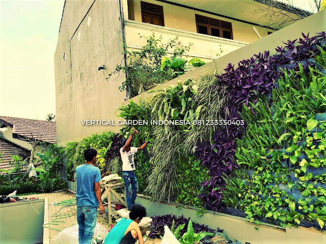 VERTICAL GARDEN INDONESIA SPESIALIS JASA PEMBUATAN VERTICAL GARDEN DI SERANG DAN DI SELURUH WILAYAH SERANG DENGAN TENAGA YANG PROFESIONAL DAN DAPAT DI PERCAYA YANG SELALU MENGUTAMAKAN SEBUAH MUTU DAN KUALITAS PEMASANGAN VERTICAL GARDEN/TAMAN DINDING, JASA TUKANG TAMAN VERTICAL SERANG, JASA VERTICAL GARDEN SERANG