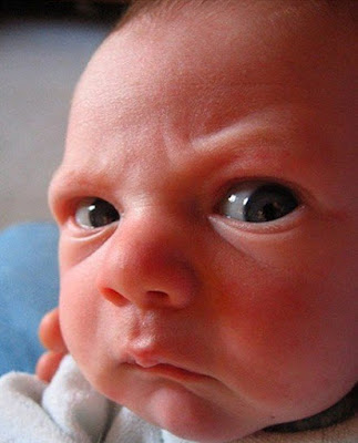 gambar foto bayi lucu sedang marah