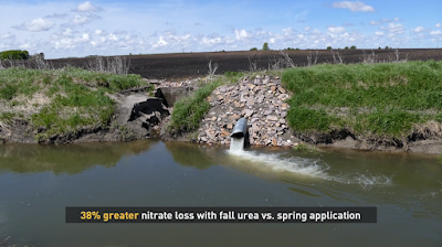 nitrate loss fall urea spring application nitrogen