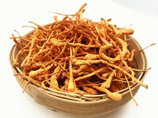 Cordyceps Mushroom Company in Nigeria