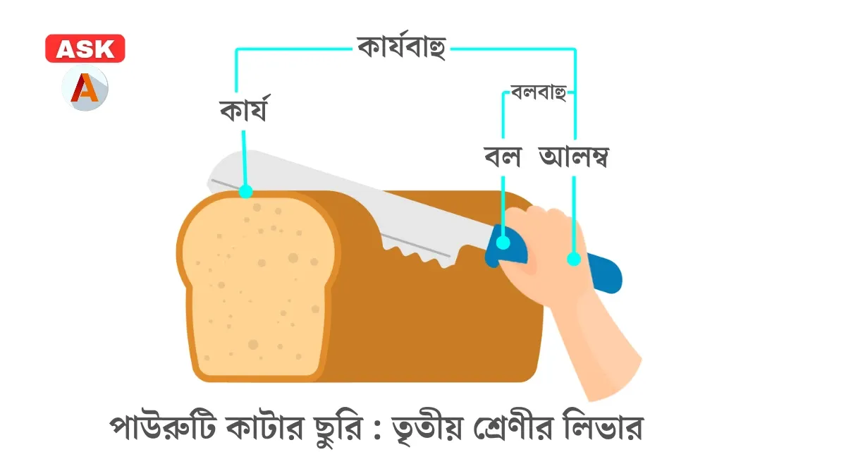 পাউরুটি কাটার ছুরি লিভার