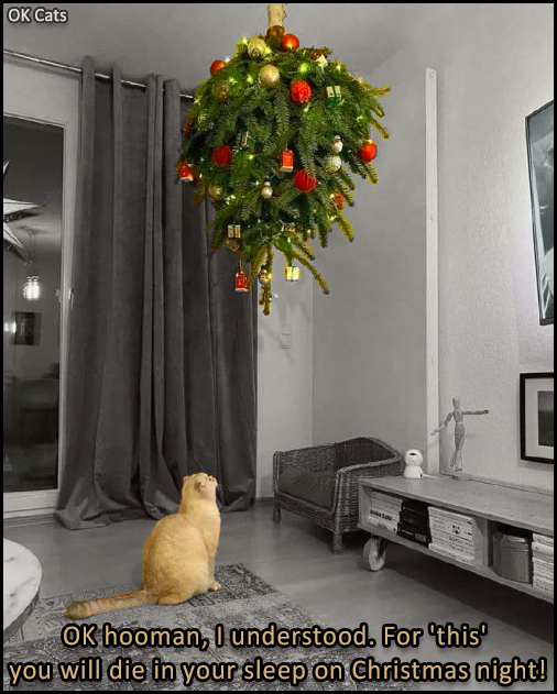 Photoshopped Cat picture • Poor cat confused, Xmas tree is hanging from the ceiling upside down [ok-cats.com]