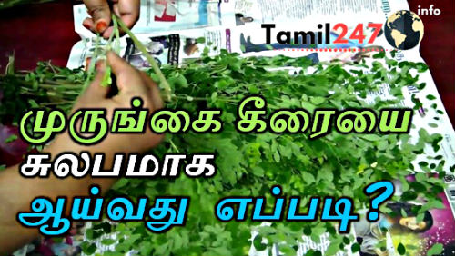 முருங்கை கீரையை சுலபமாக ஆய்வது எப்படி? (Tips & Tricks)