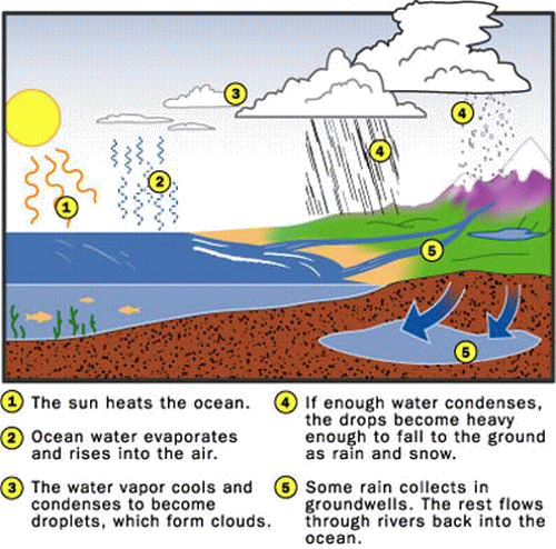 Lesson Plan The Water Cycle Making Thinking Visible With