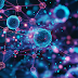Too broad, too early? AI platform for cell analysis found to lack technical character and sufficiency (T 0660/22, Cell analysis/NIKON)