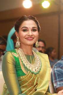 Andrea Jeremiah In Green Pattu Saree