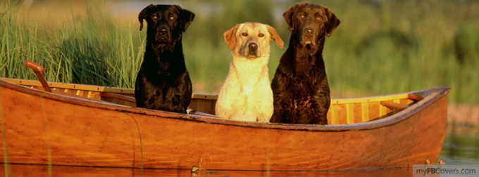  Hunting Dogs facebook cover