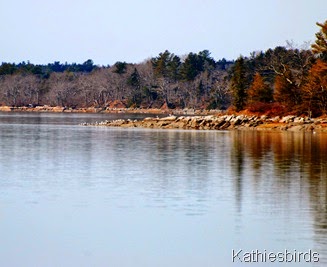 13. island-kab