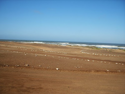 http://www.namibiareservations.com/terracebaye.html