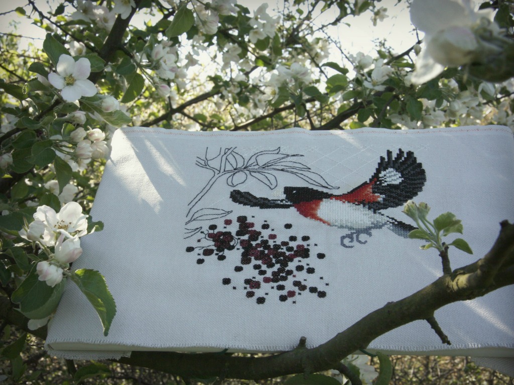 Rose - breasted grosbeak and elderberry - Valentina Sardu #1