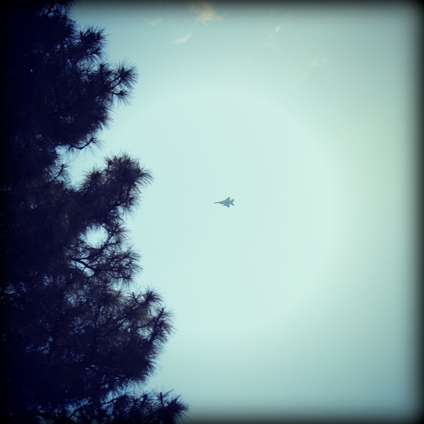 Edited IMG 3101