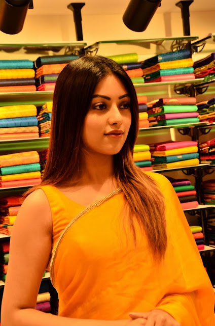 Anu Emmanuel pics in saree