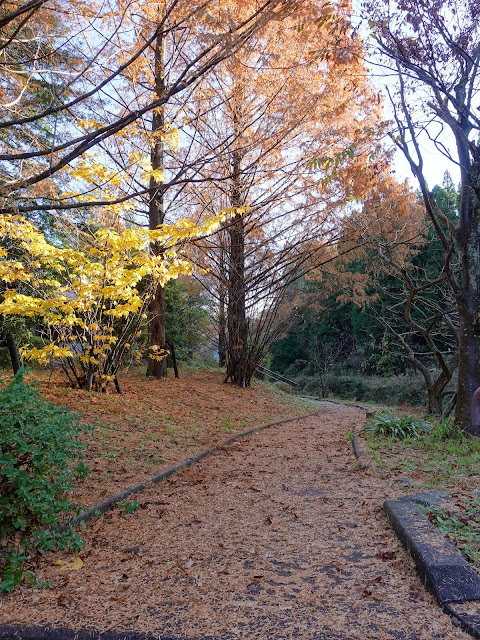 伯耆町の別所川渓流植物園