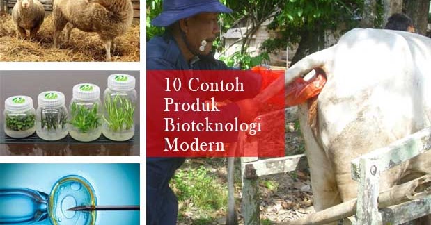 Bioteknologi Modern : 10 Contoh Produk dan Penerapannya 