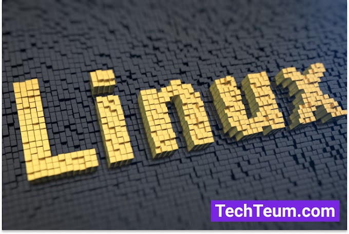 What is Linux operating system? - Definition from Techteum.com