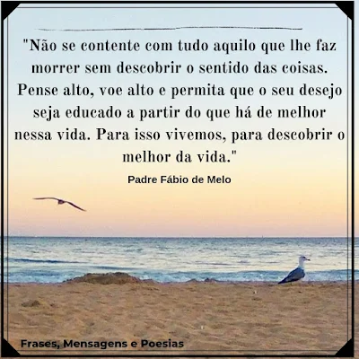 Frase de Padre Fábio de Melo