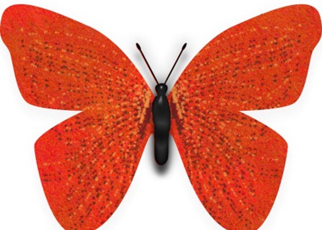 butterfly 1 WEB