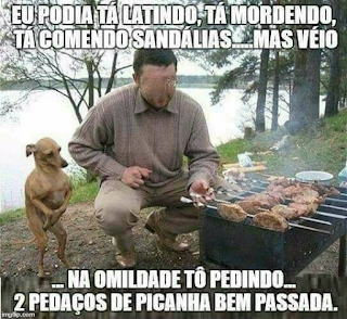 Local: à beira de um lago em dia nublado, próximo a margem arbustos e árvores. Um homem​​ agachado em frente a uma churrasqueira repleta de espetos enfileirados​, em cada espeto,​suculentos pedaços duplos de carn​e. À esquerda do homem, um cãozinho ​magrelo ​em pé, apoiado só pelas patas traseiras, no chão de terra e grama rala; as patinhas dianteiras​ estão soltas​ em frente à barriguinha,o ​cãozinho ​está com olhar fixo nas carnes assando. No topo lê-se: Eu podia tá latindo, tá mordendo, tá comendo sandálias...mas véio; e no rodapé: ...na omildade tô pedindo...dois pedaços de picanha bem passada.​ obs: para sigilo de identificação, o rosto do homem está desfocado.