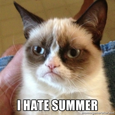 Grumpy I Hate Summer Cat Sad Angry Persian 