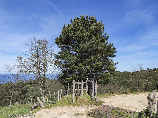 Labetxu, segunda ruta; valla de alambre - El Guisante Verde Project