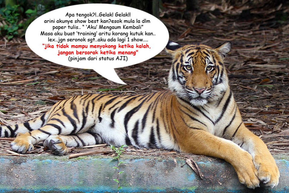  Gambar  Melawat Zoo Melaka Percutian Bajet Keterangan 